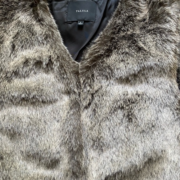 ARITZIA NWOT Talula Park Slope faux fur vest. Size small. Grey/brown colour. - Picture 3 of 8